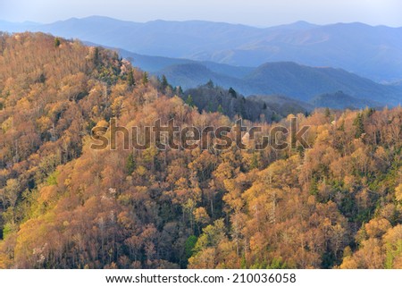 Spring landscape from Newfound Gap, Great Smoky Mountains National Park, Tennessee, USA