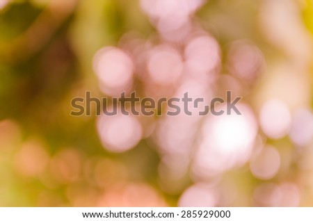 bright pink bokeh background derived from nature