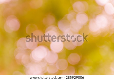 bright pink bokeh background derived from nature