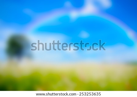 Blurry vision of Summer grass field in blue sky with rainbow.