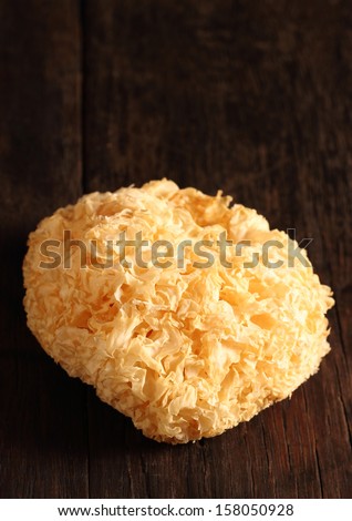 One of the snow fungus isolated on dark wooden background