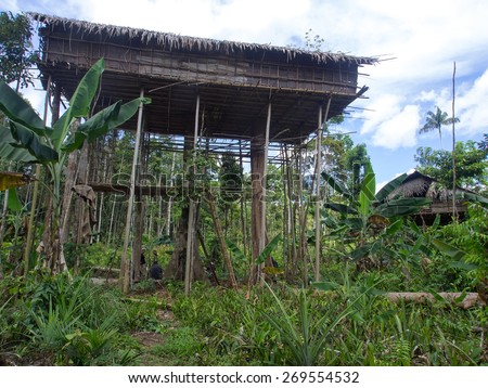The jungle, Indonesia - January 14, 2015: Houses on the trees. That way Korowaya tribe builds houses in Papua