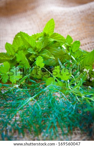 Fresh mixed herbs - dill, cilantro, mint, basil, tarragon and rosemary on a burlap background