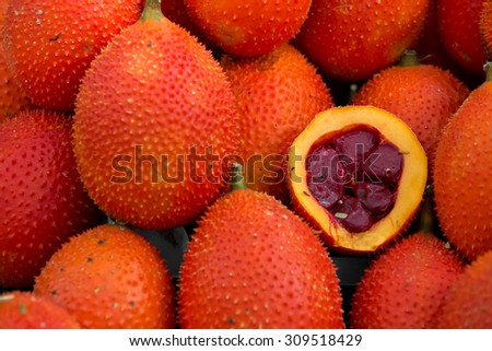Southeast Asian fruit Baby Jackfruit Spiny Bitter Gourd or Sweet Gourd.