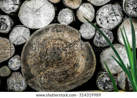 Dry timber log stacked as background. Logs cross cuts on the timber cutting.