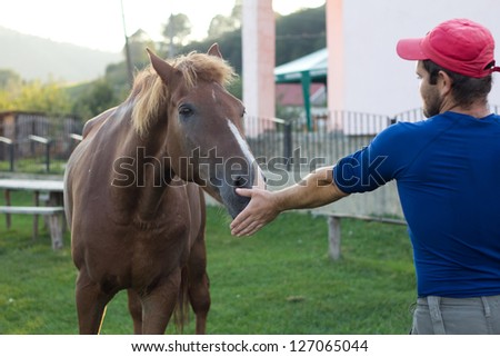 Man feeding a horse