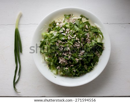 Plate of healthy green garden salad with fresh vegetables and green onion from above