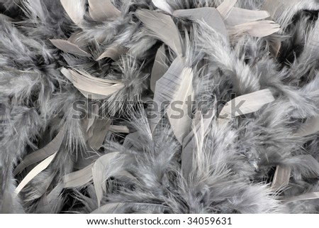 Grey feather boa for background