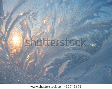 frost and sun. winter background.