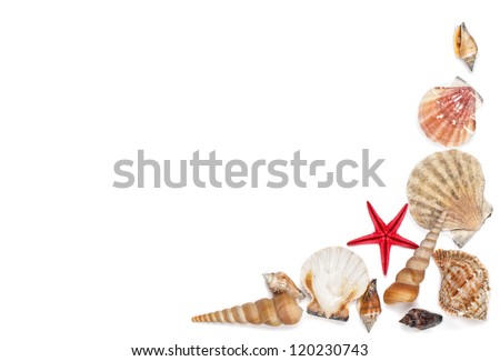 Sea Shells Frame Corner , Isolated On White Background Stock Photo ...