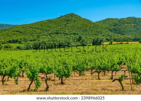 Similar – Image, Stock Photo Rural landscape near Santa maria Nuova and Osimo, Marche, Italy