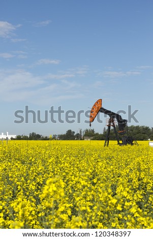 Oil Well in Canola
