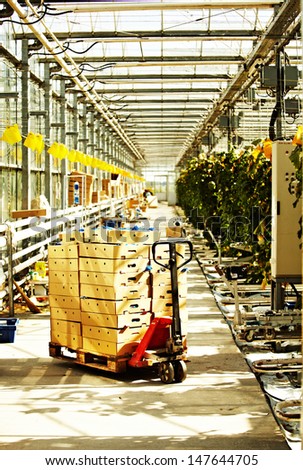 Pallet truck in the greenhouse
