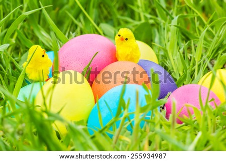 Toy chickens on a painted Easter eggs in green grass on a spring day close up