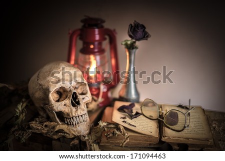 Still life with skull near old opened book with dry rose