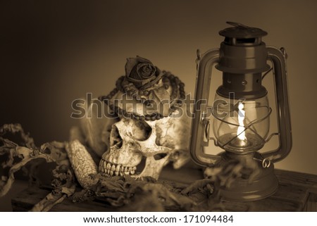 Still life with skull and rose on top of head