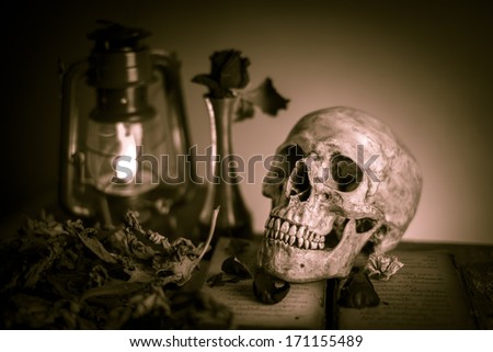 Still life with skull near old opened book with dry rose