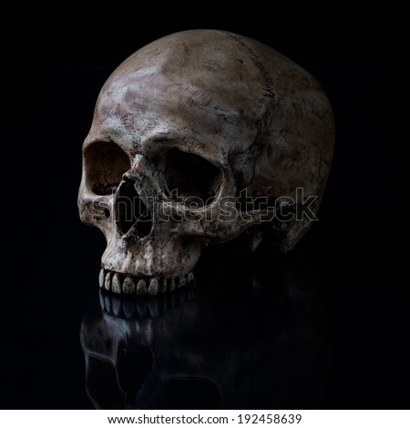 Sideview of human skull open mouth on isolated black background