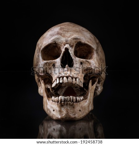 frontview of human skull open mouth reflect on isolated black background