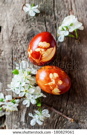 Idea for Decoration of Easter Eggs using Fresh Cherry Flowers and Onions Peels