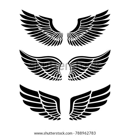 Wings for heraldry, tattoos, logos.