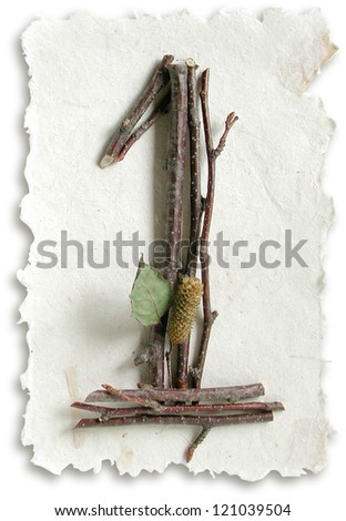Photograph of Natural Twig and Stick Number 1