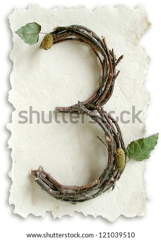 Photograph of Natural Twig and Stick Number 3