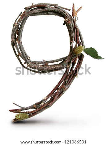 Photograph of Natural Twig and Stick Number 9