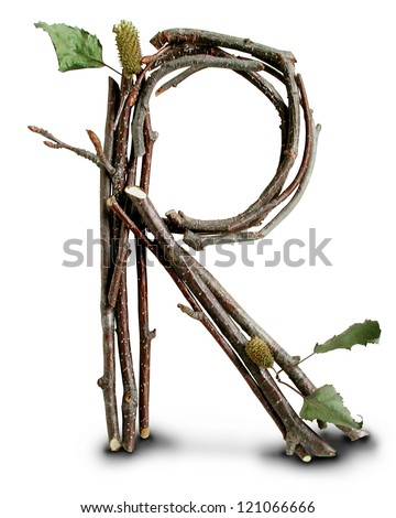 Photograph of Natural Twig and Stick Letter R Foto stock © 