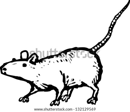 Black And White Vector Illustration Of A Rat - 132129569 : Shutterstock