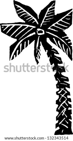 Black And White Vector Illustration Of A Palm Tree - 132343514 ...