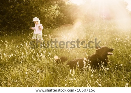 Protection: faithful dog patrolling while cute little girl strolling on the meadow