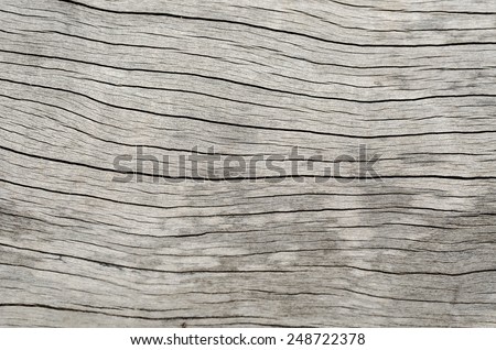 gray wood texture with natural pattern of old wood