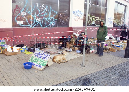 Kiev, UKRAINE - 27 October 2013: people with stray dogs on the street holding a sign about the help