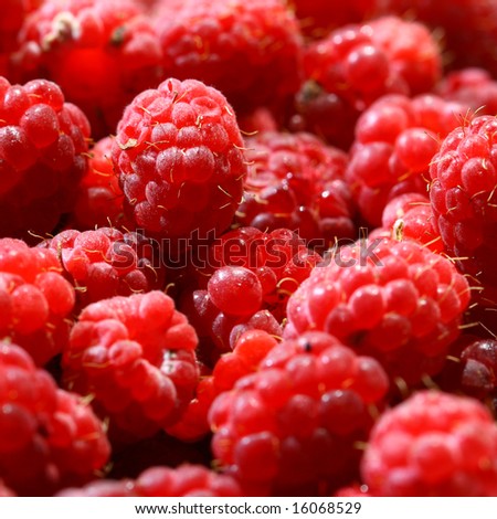 red raspberry background macro close up