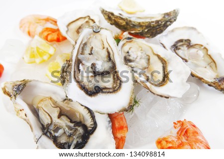 Fresh seafood on ice macro