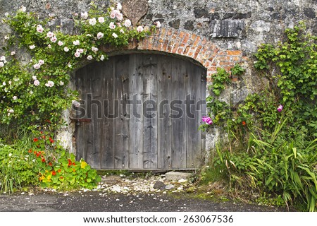 Romantic rustic stone and brick, rose covered wall and stable doors in a Northern Ireland, UK village.