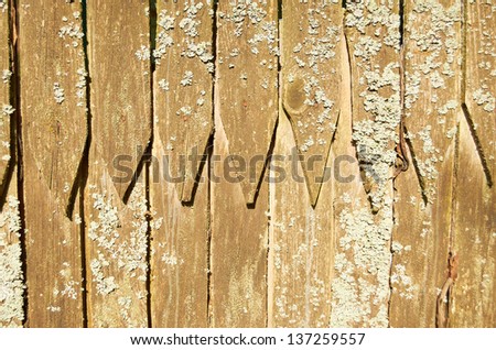 An old rustic wooden board covered with moss