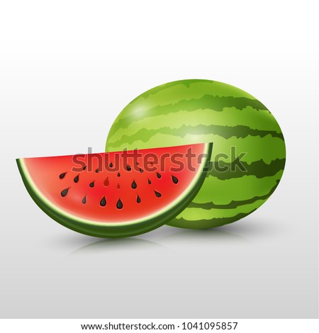 Watermelon slice vector illustration summer fruit.
