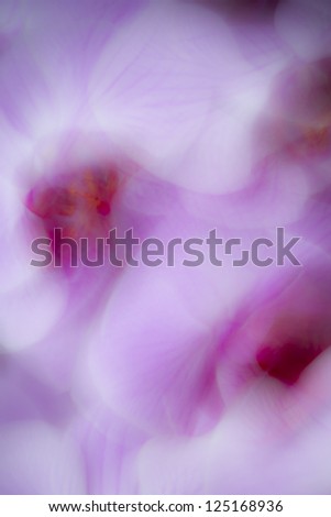 abstract purple and violet background done with orchid flowers
