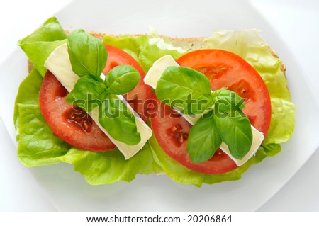 The sandwich of lettuce, the tomato, Camembert cheese and with fresh basil.