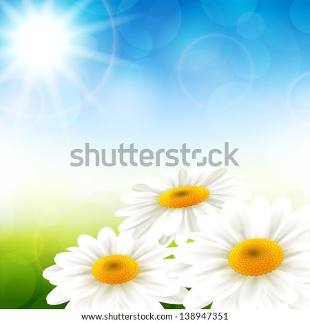 Vector illustration of summer flowers with a beautiful background