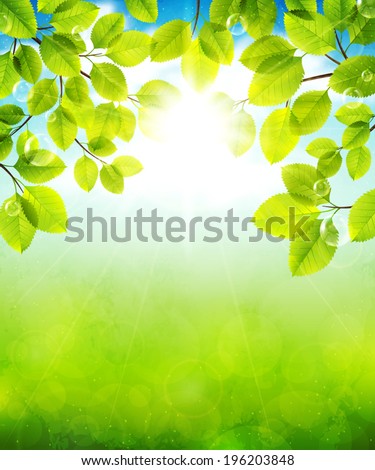 Vector illustration summer landscape with green leaves