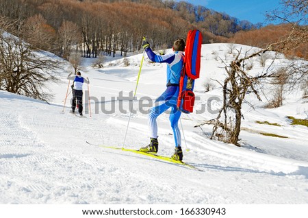 skier goes up to the hill - trees snow winter