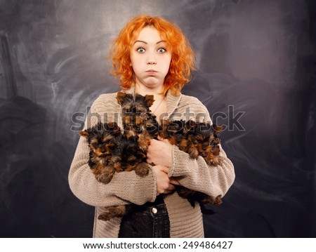 Red hair girl on a dark background and a lot of little puppies in her hands. Woman with an emotion of surprise on his face holding a six puppies Yorkshire terrier. Many young puppies. Surprise!