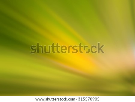 Natural abstract blur background. Blurring color background. Blurred light. Variety of color. Background for motivational text. Abstract blur pattern. Light soft blurry wallpaper. Green yellow image.