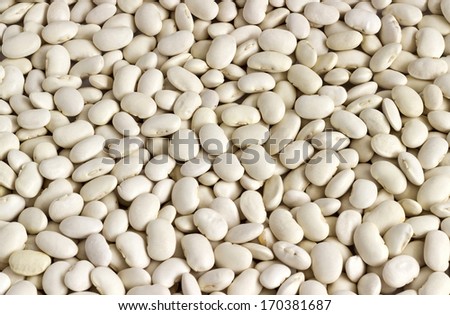 White beans backgrounds