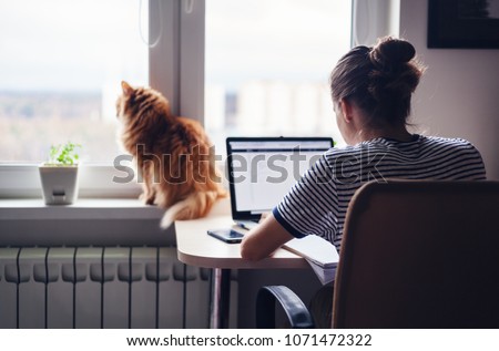 Photo of Girl student freelancer working at home on a task, the cat is sitting on the window