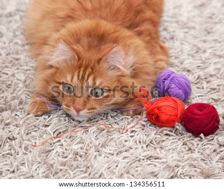 red fluffy cat playing with colored balls of yarn on a carpet