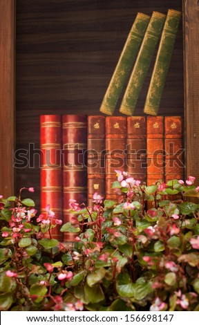 pink flowers on the background of books